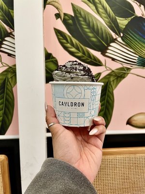 Cauldron Ice Cream by null