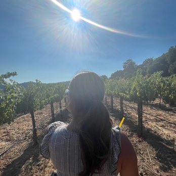 Fortino Winery - Vineyard - Venues & Event Spaces Near Me - Gilroy, California
