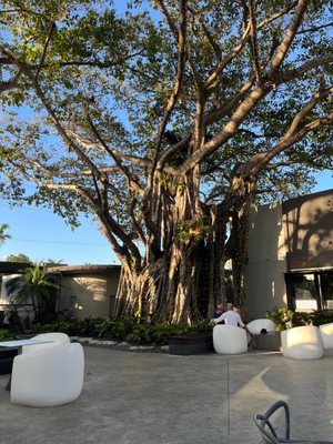 Chima Steakhouse Fort Lauderdale by null
