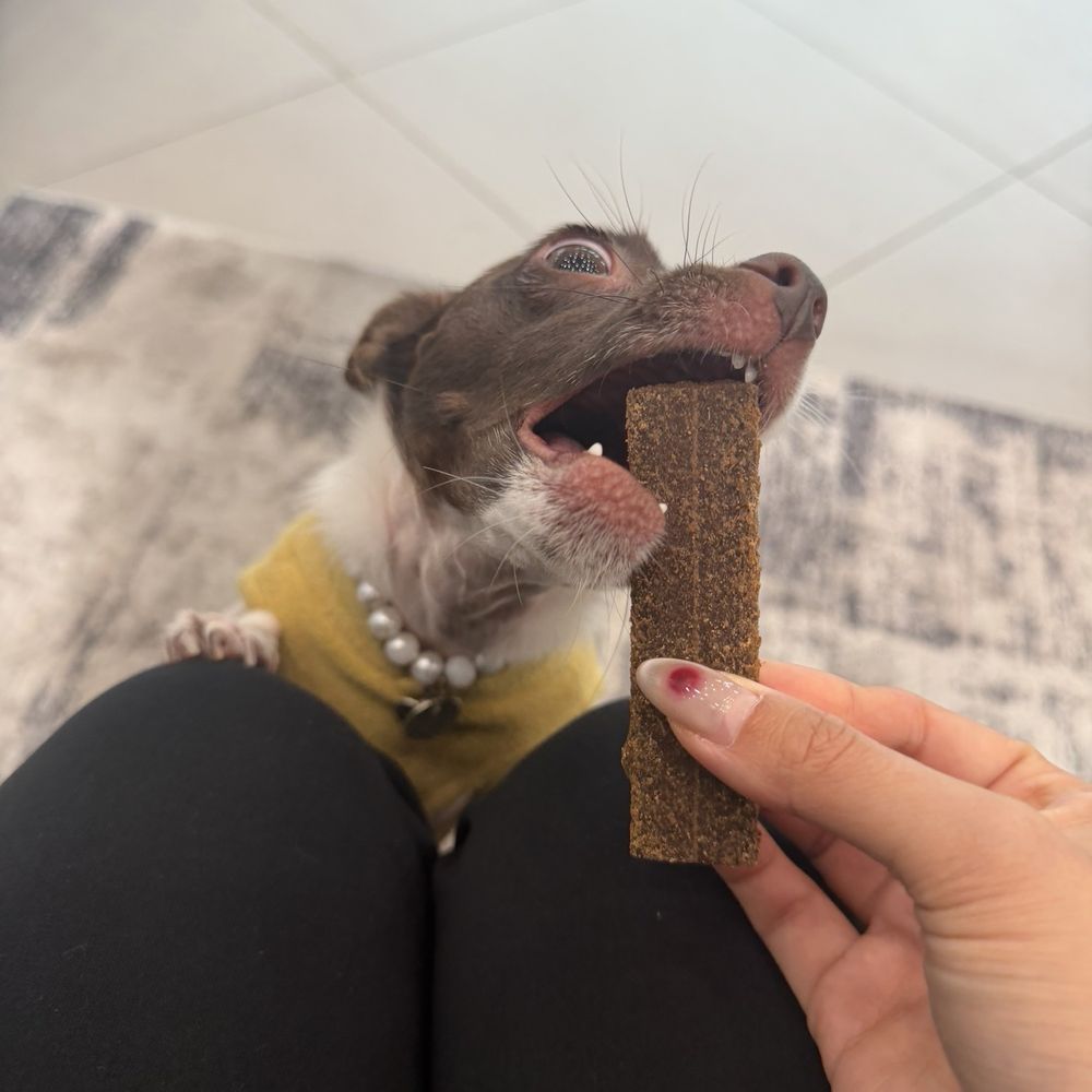 Soro Coffee - Frida approves of this jerky treat LOL thank you! - Coffee & Tea Near Me - Los Angeles, California Soro Coffee - Frida approves of this jerky treat LOL thank you! - Coffee & Tea Near Me - Los Angeles, California