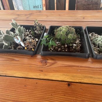 A Romo's Cafe - Table with succulents - Coffee & Tea Near Me - Hayward, California