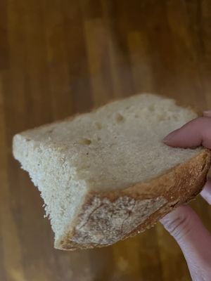 Antonio's Trattoria by null