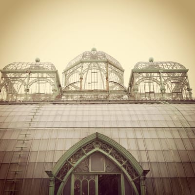 Royal Greenhouses of Laeken by null