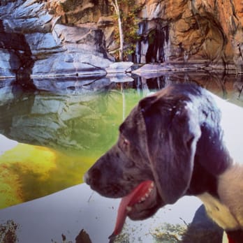 Cedar Creek Falls - Water pool but no falls in Nov - Hiking Near Me - Ramona, California