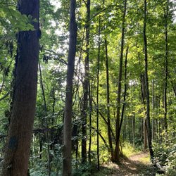 Collier Cove Nature Preserve