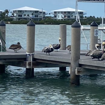 Island Fish - View of Pier from dockside seating - Seafood Near Me - Marathon, Florida Island Fish - View of Pier from dockside seating - Seafood Near Me - Marathon, Florida