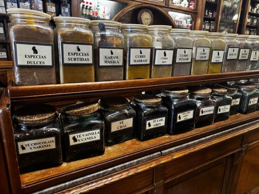 El Gato Negro by null