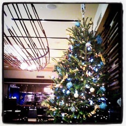 Almost Heavenly Christmas Trees - One of our regular customer's Christmas Tree in their restaurant!