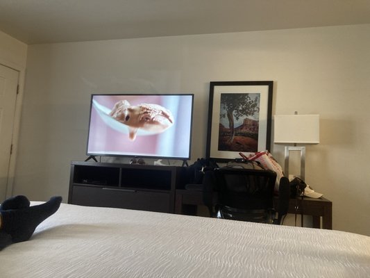 Pines Inn & Suites by null