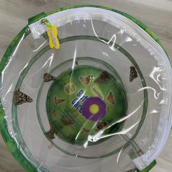 Community Care Preschool - Homegrown from caterpillar to butterfly - Preschools Near Me - Millbrae, California Community Care Preschool - Homegrown from caterpillar to butterfly - Preschools Near Me - Millbrae, California