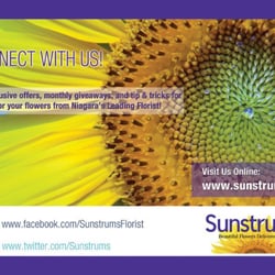 Sunstrums Florist - Like us on Facebook and Twitter for a chance to win a bouquet of fresh beautiful flowers.