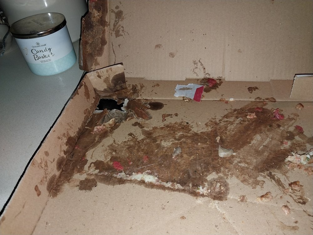 SANTO’S PIZZA Updated August 2024 10 Photos & 31 Reviews 1749