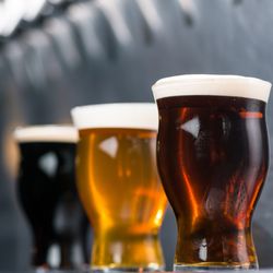 Yard House - Tap in to great food, classic rock and 100+ craft & local beers.