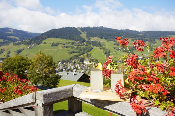 Hôtel L'Arboisie by null