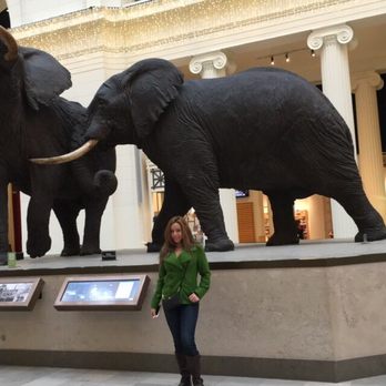 Field Museum - Museums Near Me - Chicago, Illinois Field Museum - Museums Near Me - Chicago, Illinois