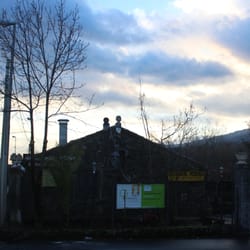 Castagno dei Cento Cavalli