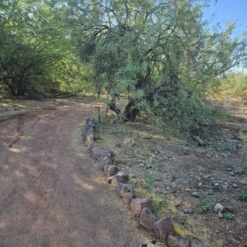Desert Botanical Garden - Lots of shady walking paths - Botanical Gardens Near Me - Phoenix, Arizona