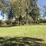 Photo of Stephen F Austin Golf Course