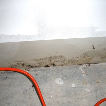 Biotek Environmental - Damage Restoration Near Me - Columbia, South Carolina