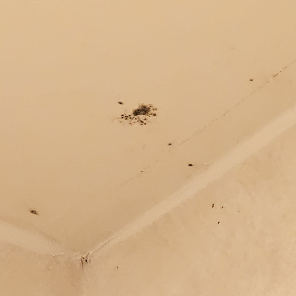 Pretty sure this is black mold in the bathroom of my hotel room. Pretty sure this is black mold in the bathroom of my hotel room.