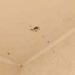 Pretty sure this is black mold in the bathroom of my hotel room. Pretty sure this is black mold in the bathroom of my hotel room.