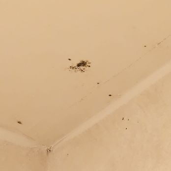 Quality Inn - Pretty sure this is black mold in the bathroom of my hotel room. - Hotels Near Me - Mt. Vernon, Washington Quality Inn - Pretty sure this is black mold in the bathroom of my hotel room. - Hotels Near Me - Mt. Vernon, Washington