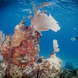 Squalo Adventures Dive Center