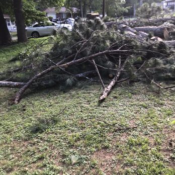 Young King’s Enterprises - Cut down tree - Painters Near Me