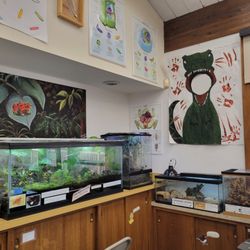 Environmental Education Center - Somerset County Park Commission - Live animals