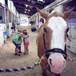 Flicka Farms