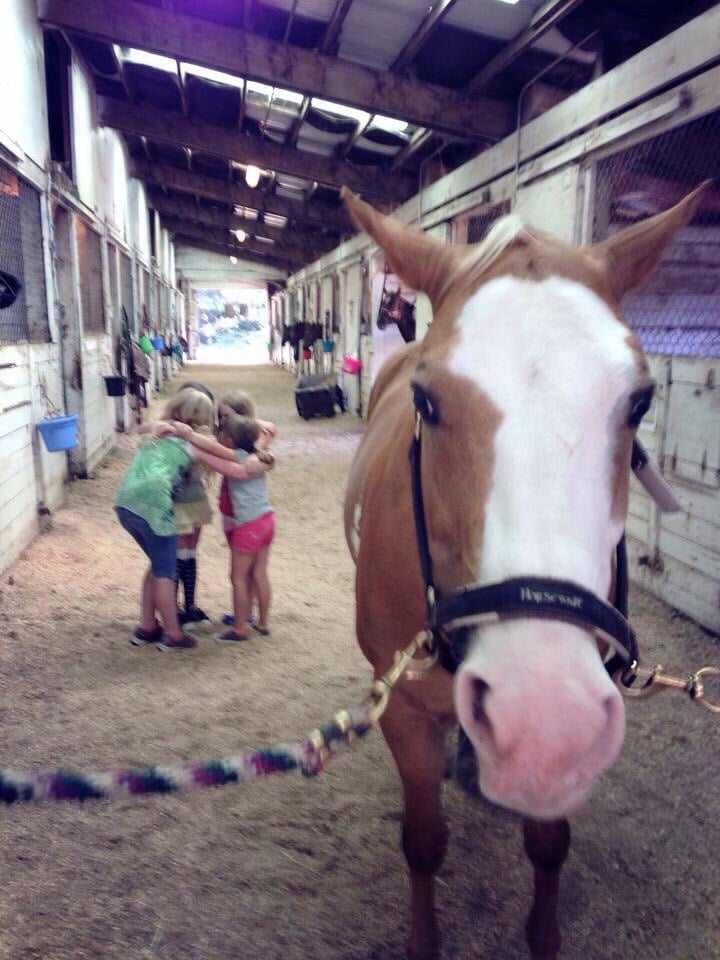 Flicka Farms - equestrian in Redmond, WA