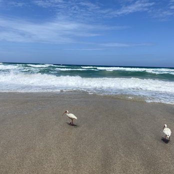 Jensen Beach - Beaches Near Me - Jensen Beach, Florida