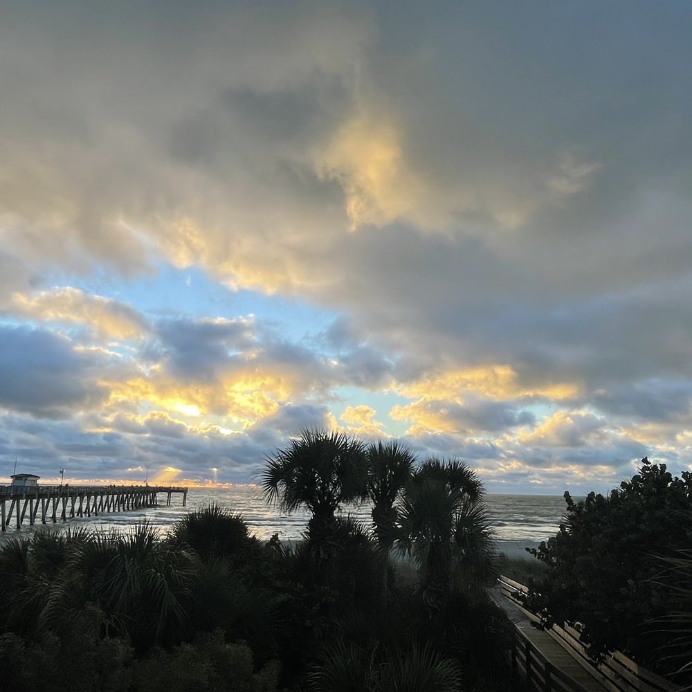 Fins At Sharky's - From our table... Stunning. - Steakhouses Near Me - Venice, Florida