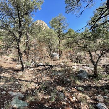 Mt Lemmon - Hiking Near Me