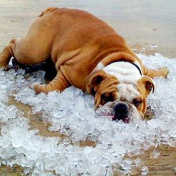 Quick Comfort Air Conditioning & Heating - Heating & Air Conditioning/HVAC Near Me - Spring, Texas Quick Comfort Air Conditioning & Heating - Heating & Air Conditioning/HVAC Near Me - Spring, Texas