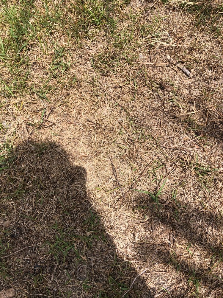 HUGHES EXTERMINATORS Updated September 2024 26 Reviews 989