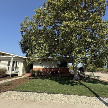 Jose The Gardener - After front yard - Landscaping Near Me