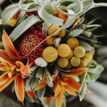 Terra Bella Flowers - Photo Credit: http://hatchphotography.net/ - Florists Near Me - Seattle, Washington Terra Bella Flowers - Photo Credit: http://hatchphotography.net/ - Florists Near Me - Seattle, Washington