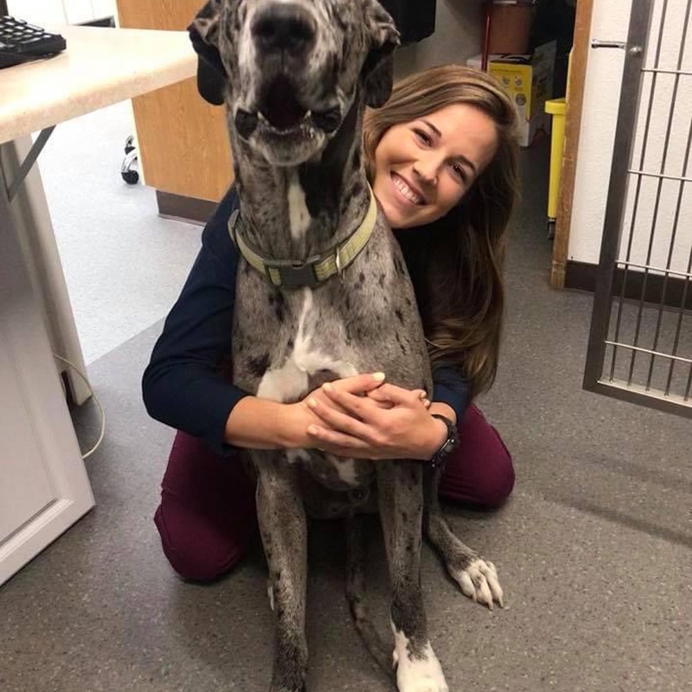 THE BEST 10 Emergency Pet Hospital near YOUNTVILLE, CA 94599 - Quality &  Affordability - Solano-Napa Pet ER Clinic, Silverado Veterinary Hospital,  All 4 Paws Veterinary Hospital - Updated 2026 - Yelp