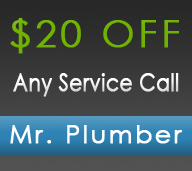 Slide of Mr. Plumber