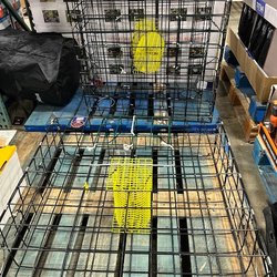Costco Wholesale Warehouse - They sell crab traps!