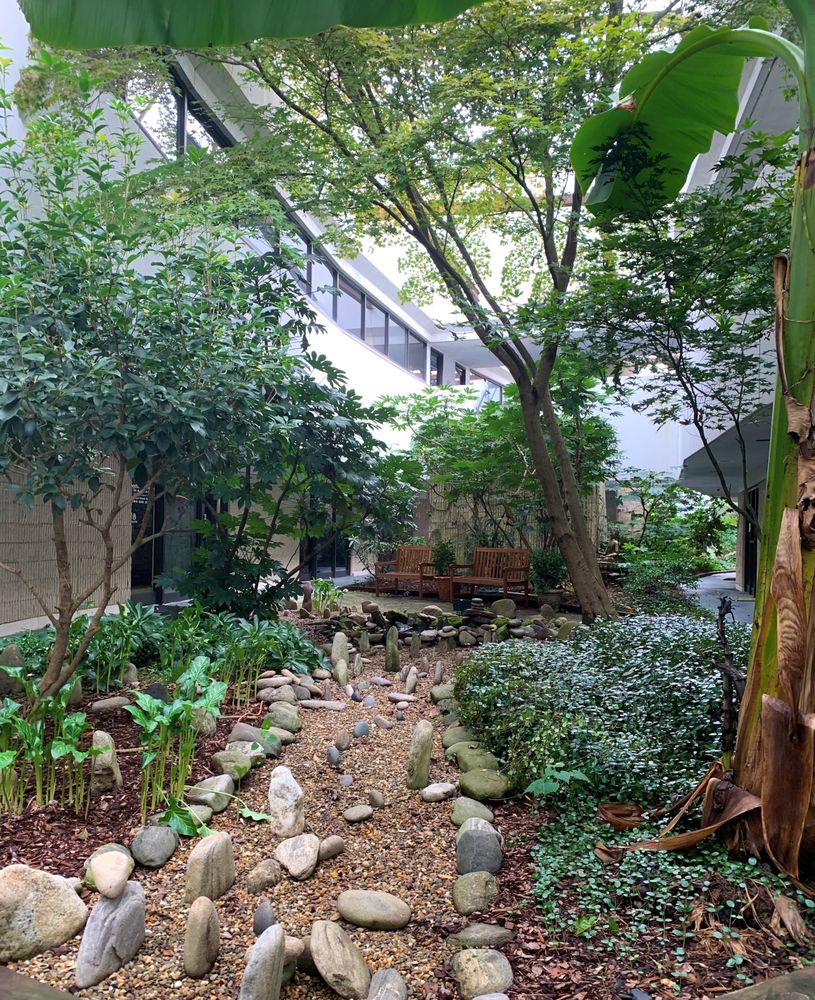 LIVE WELL ACUPUNCTURE 5200 Park Rd, Charlotte, North Carolina