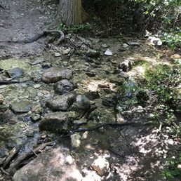 Little brook to cross Little brook to cross