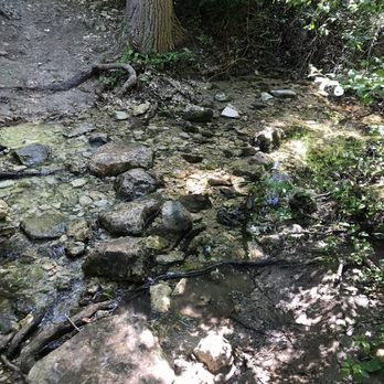 Great Hills Park - Little brook to cross - Hiking Near Me - Austin, Texas Great Hills Park - Little brook to cross - Hiking Near Me - Austin, Texas