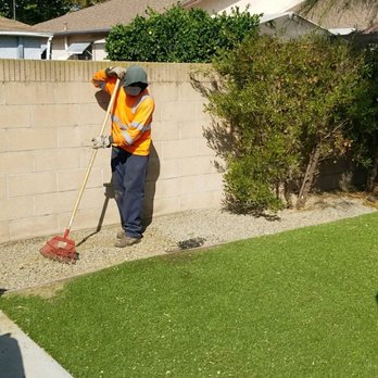 Octavio's Tree Service - All gone! - Tree Services Near Me Octavio's Tree Service - All gone! - Tree Services Near Me