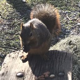 Little guys sit next to you on benches