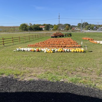 Duvall Farms - Attraction Farms Near Me - Bloomfield, New York Duvall Farms - Attraction Farms Near Me - Bloomfield, New York