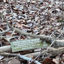 Pine Mountain - 1/25 new markers