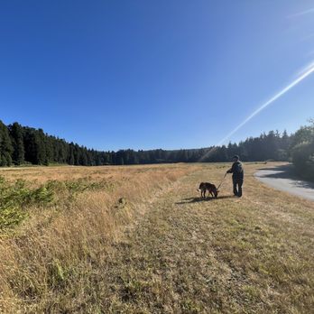 Prairie Creek Redwoods State Park - Elk Prairie Entrance and Elk Meadow - Parks Near Me - Orick, California Prairie Creek Redwoods State Park - Elk Prairie Entrance and Elk Meadow - Parks Near Me - Orick, California