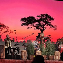 Seminole Hard Rock Wine and Food Festival - Lion King experience